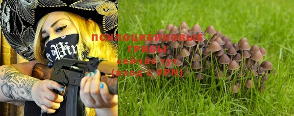 молекула духа Саяногорск