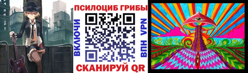 Купить закладки  Нефтеюганск  Псилоцибиновые грибы Psilocybe 